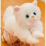 Musical Cat Stuff toy (10 inches) Cell Operated
