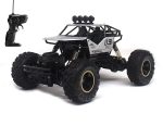 Toyz Remote Control Plastic Racing Car, Rock Crawler 4 Wheel Drive Metal Alloy Body Remote Control Rock Climber High Speed Monster Car (Assorted Colour) - Image 3
