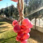 Grape Shaped Hanging Soap, Handmade Lavender Grape Soap, Hanging Soap, Grape, Lavender, Bath Accessory, Gift, Unique Kitchen & Bathroom Decor