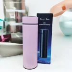 Temperature Water Bottle 500ml – Stylish Steel Water Bottle for Girls, Boys & Kids | Hot & Cool Watter Bottel for School, College & Fridge | Cute Watter Bottle for Girls with Straw | Aesthetic Transparent Water Bottles for Girls & Boys in School