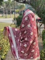 Maroon (brownish-red) Kashmiri Zari Shawl/Chadar For Girls and Women - Image 2
