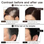 Original Imported Lipstick Shape Hair Dye Pen Covering White Hair Disposable Color Stick - Black/Brown - Image 2