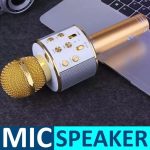 Mic for Kids Microphone Loud Speaker for Speech with speaker