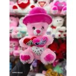 Teddy Bear Plush Teddy Bear Huge Soft Toy 10 inch HAPPY BIRTHDAY