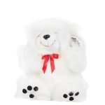 Zn-1455-BD - 8" - Teddy Bear - White