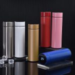 Temperature Water Bottle 500ml – Stylish Steel Water Bottle for Girls, Boys & Kids | Hot & Cool Watter Bottel for School, College & Fridge | Cute Watter Bottle for Girls with Straw | Aesthetic Transparent Water Bottles for Girls & Boys in School