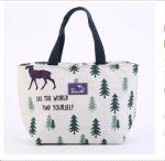 Insulated Lunch Bag 3D Cartoon Waterproof Oxford Fabric Thermal Lunch Box Tote with Aluminum Foil | Cute Portable Cooler Bag for Kids, Boys, Girls & Adults | School, Picnic, Office Food Carrier | Smart collecion