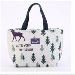 Insulated Lunch Bag 3D Cartoon Waterproof Oxford Fabric Thermal Lunch Box Tote with Aluminum Foil | Cute Portable Cooler Bag for Kids, Boys, Girls & Adults | School, Picnic, Office Food Carrier | Smart collecion