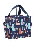 Insulated Lunch Bag 3D Cartoon Waterproof Oxford Fabric Thermal Lunch Box Tote with Aluminum Foil | Cute Portable Cooler Bag for Kids, Boys, Girls & Adults | School, Picnic, Office Food Carrier | Smart collecion