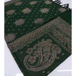 Winter Kashmiri Hand Embroidered Shawl For Women/Girls