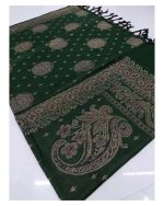 Winter Kashmiri Hand Embroidered Shawl For Women/Girls