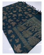 Winter Kashmiri Hand Embroidered Shawl For Women/Girls