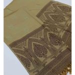 Winter Kashmiri Hand Embroidered Shawl For Women/Girls