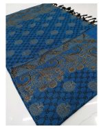 Winter Kashmiri Hand Embroidered Shawl For Women/Girls