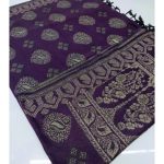 Winter Kashmiri Hand Embroidered Shawl For Women/Girls