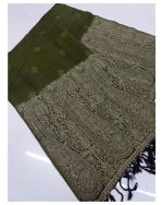 Winter Kashmiri Hand Embroidered Shawl For Women/Girls