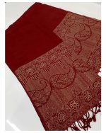 Winter Kashmiri Hand Embroidered Shawl For Women/Girls